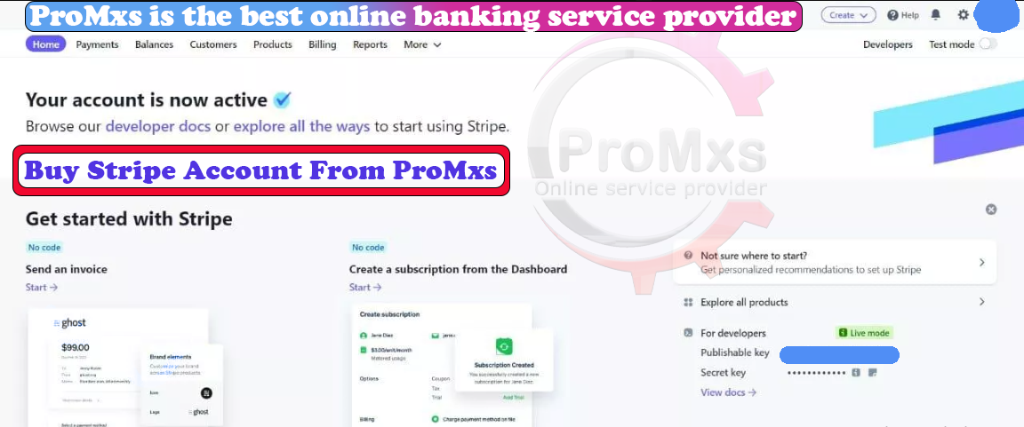 Full Verified Active Stripe Account, Debit/ credit card added and confirmed, SSN and Router number verified. Buy Verified Stripe Account From promxs.com